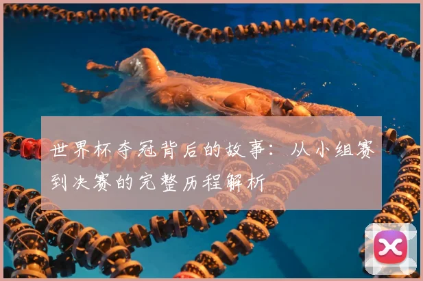 世界杯夺冠背后的故事：从小组赛到决赛的完整历程解析