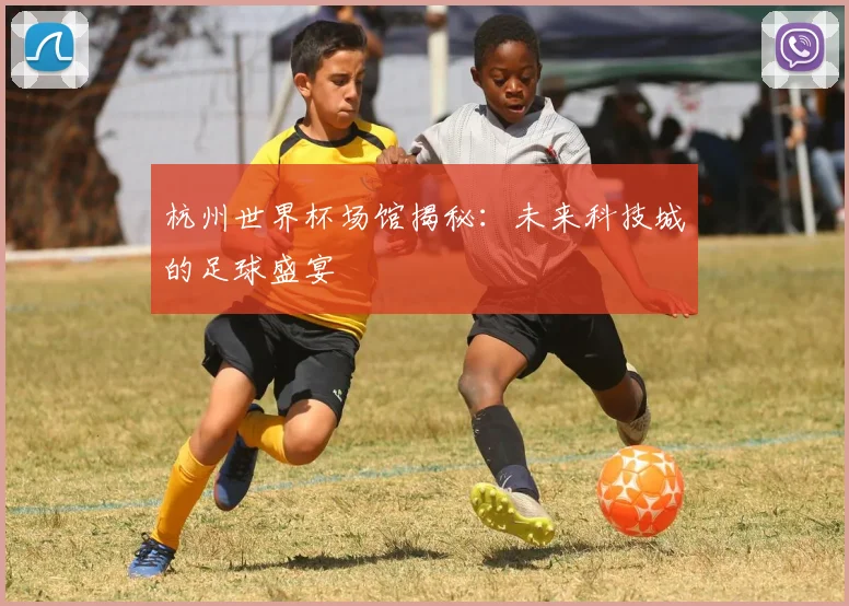 杭州世界杯场馆揭秘:未来科技城的足球盛宴